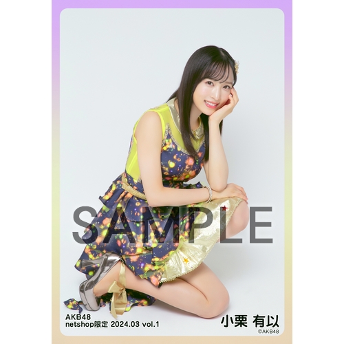 予約商品】AKB48 2024年3月度 net shop限定個別生写真5枚セットvol.1
