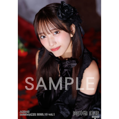 AKB48 2025年10月度 net shop限定個別生写真5枚セットvol.1 | AKB48