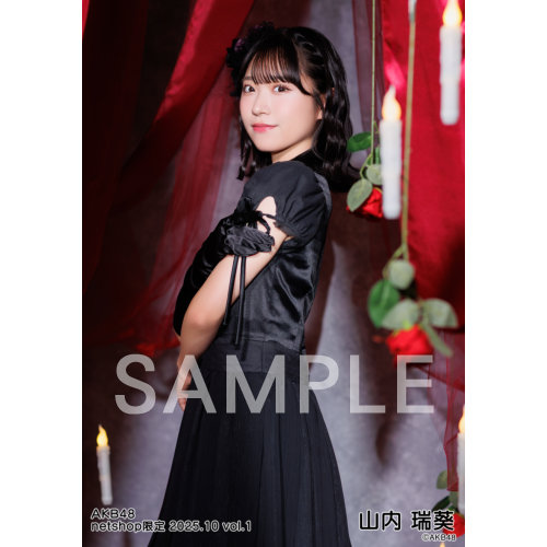 山内瑞葵 AKB48 2025年9月 netshop限定 生写真+カード コンプ 山内瑞葵