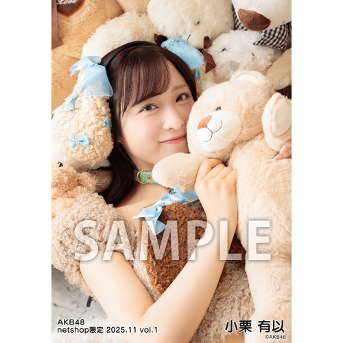 予約商品】AKB48 2025年11月度 net shop限定個別生写真5枚セットvol.1