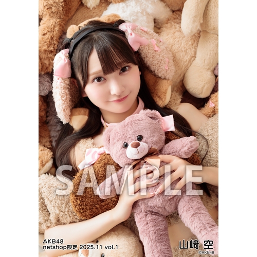 予約商品】AKB48 2025年11月度 net shop限定個別生写真5枚セットvol.1