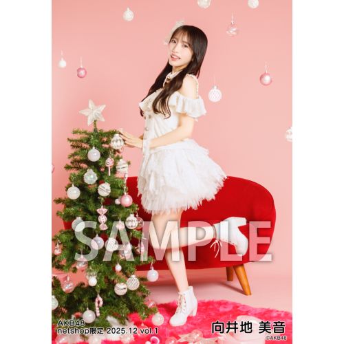 予約商品】AKB48 2025年12月度 net shop限定個別生写真5枚セットvol.1