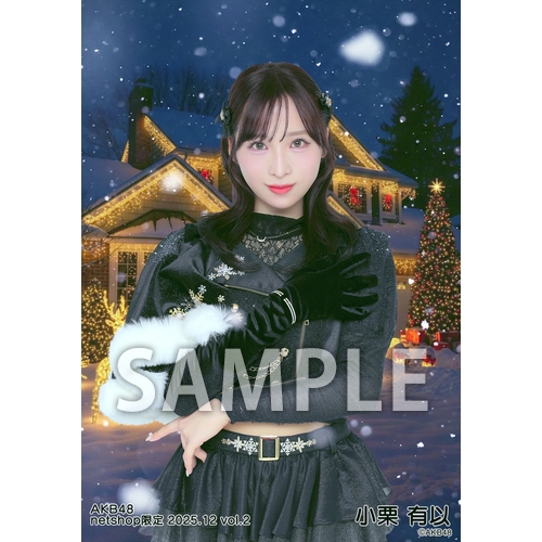 予約商品】AKB48 2025年12月度 net shop限定個別生写真5枚セットvol.2