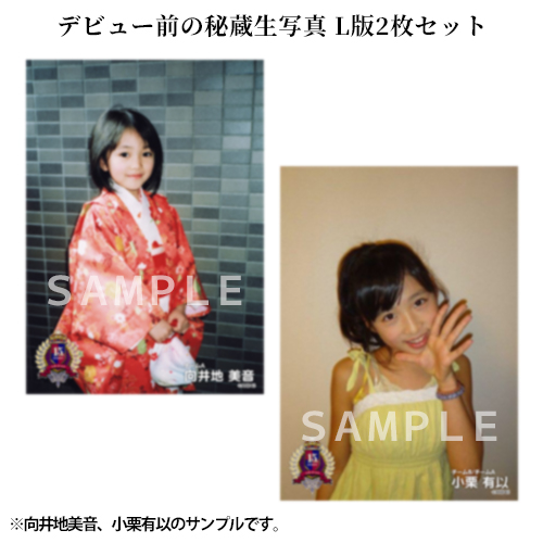 予約商品】AKB48 15周年記念 豪華生写真セット～きみが好きなカコ