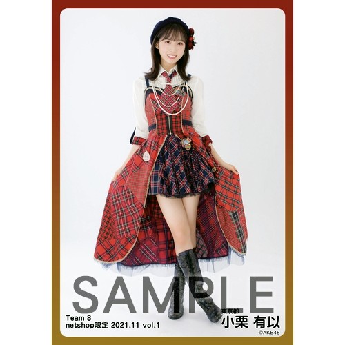 予約商品】AKB48 チーム8 2021年11月度 net shop限定個別生写真5枚