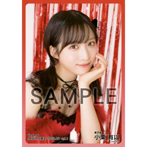 予約商品】AKB48 チーム8 2022年2月度 net shop限定個別生写真5枚