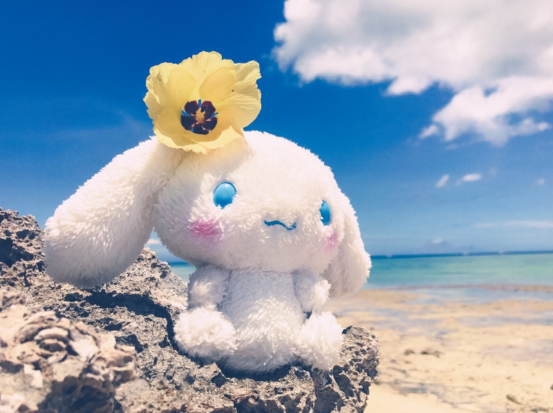 Twitter・Instagram 写真投稿キャンペーン！サンリオ「#つれてって