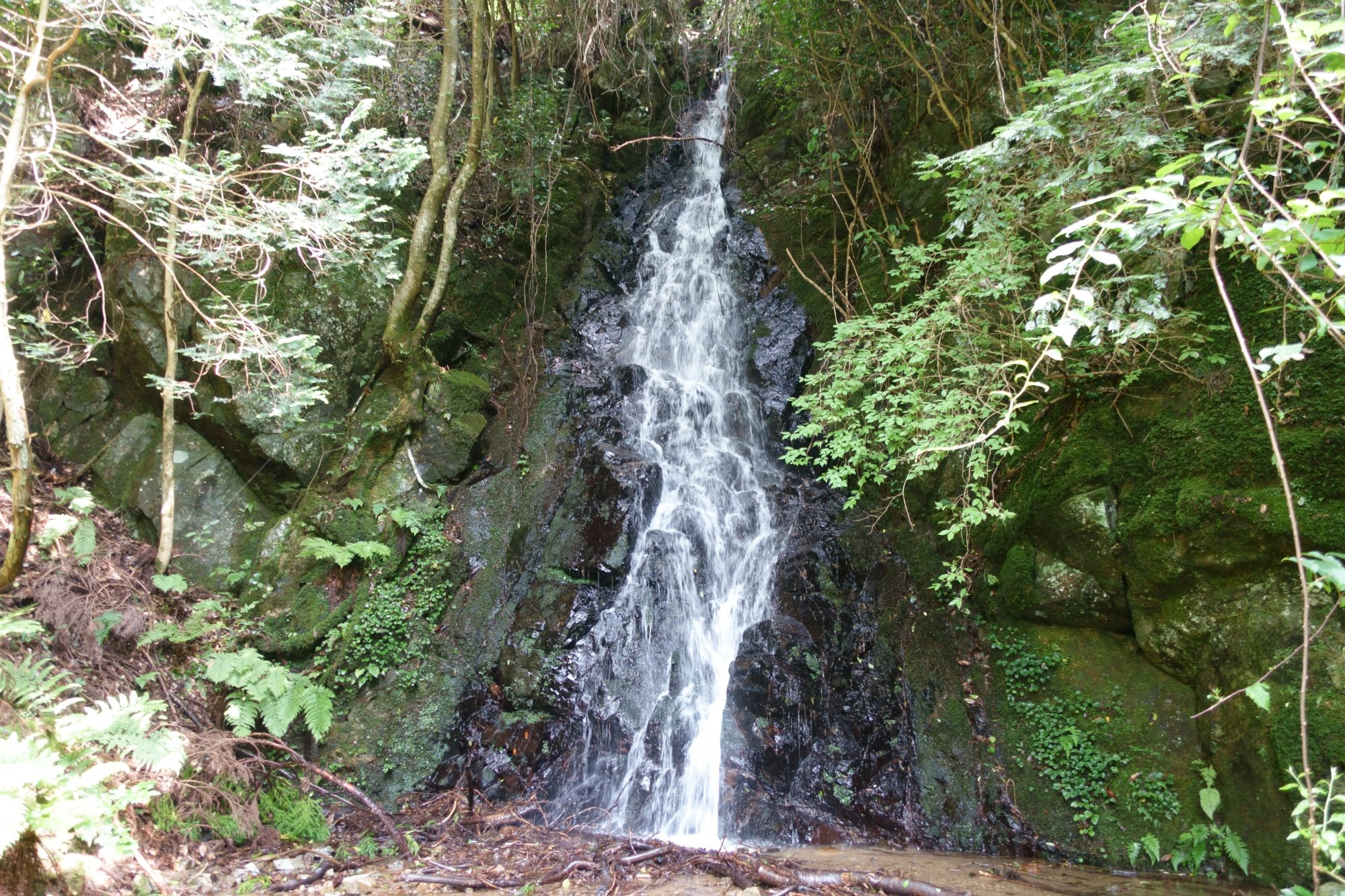 caption.jpg?w=1200&h=1200&s=1