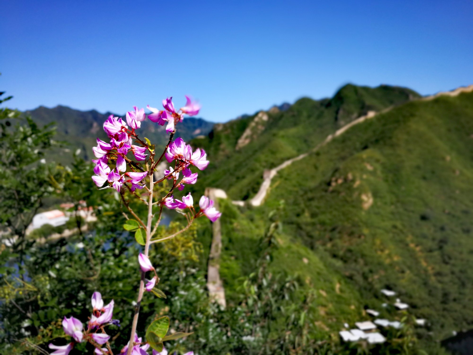2026年 黄花城長城 (万里の長城) - 出発前に知っておくべきことすべて