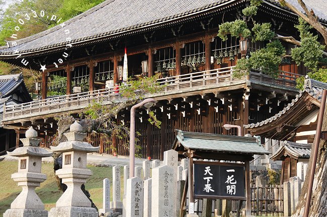 caption.jpg?w=1200&h=-1&s=1