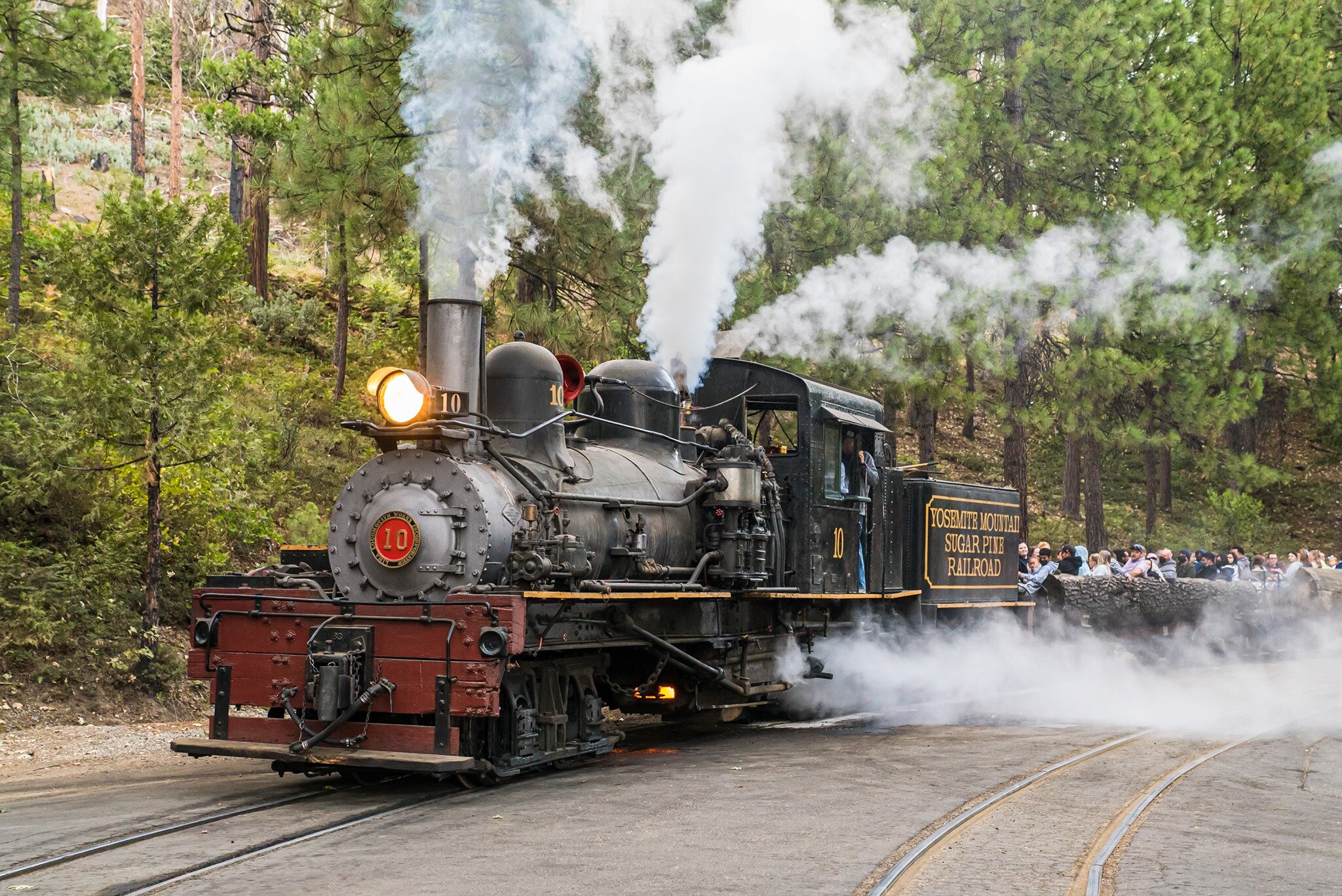 2026年 Yosemite Mountain Sugar Pine Railroad - 出発前に知っておく
