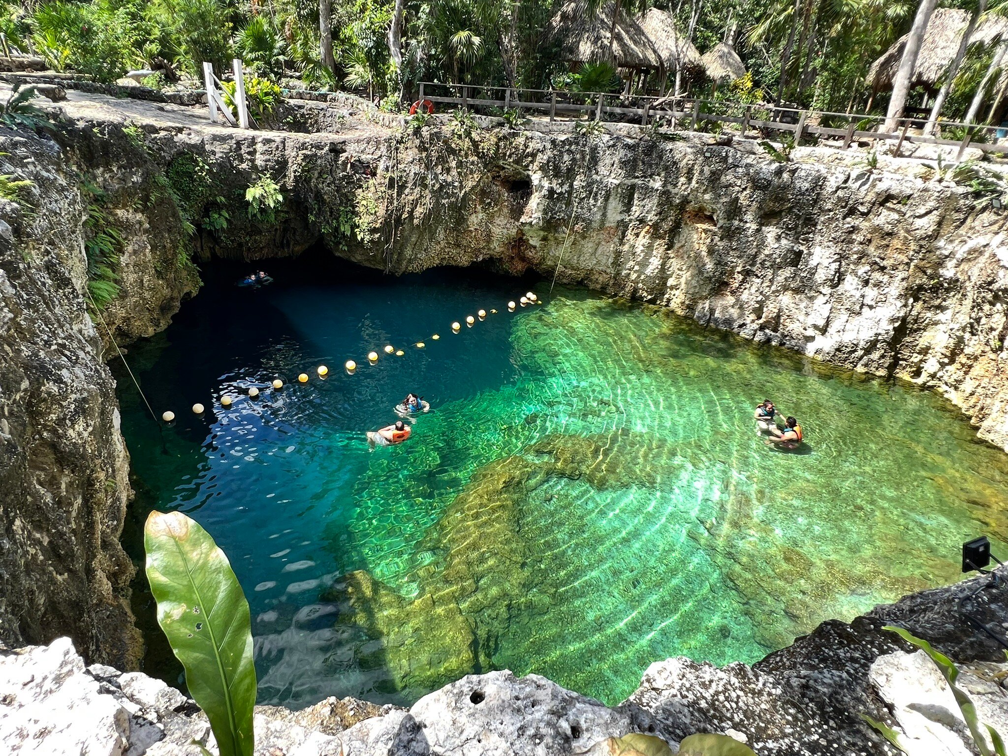 Cenote 7 Bocas (2026) - All You MUST Know Before You Go (with