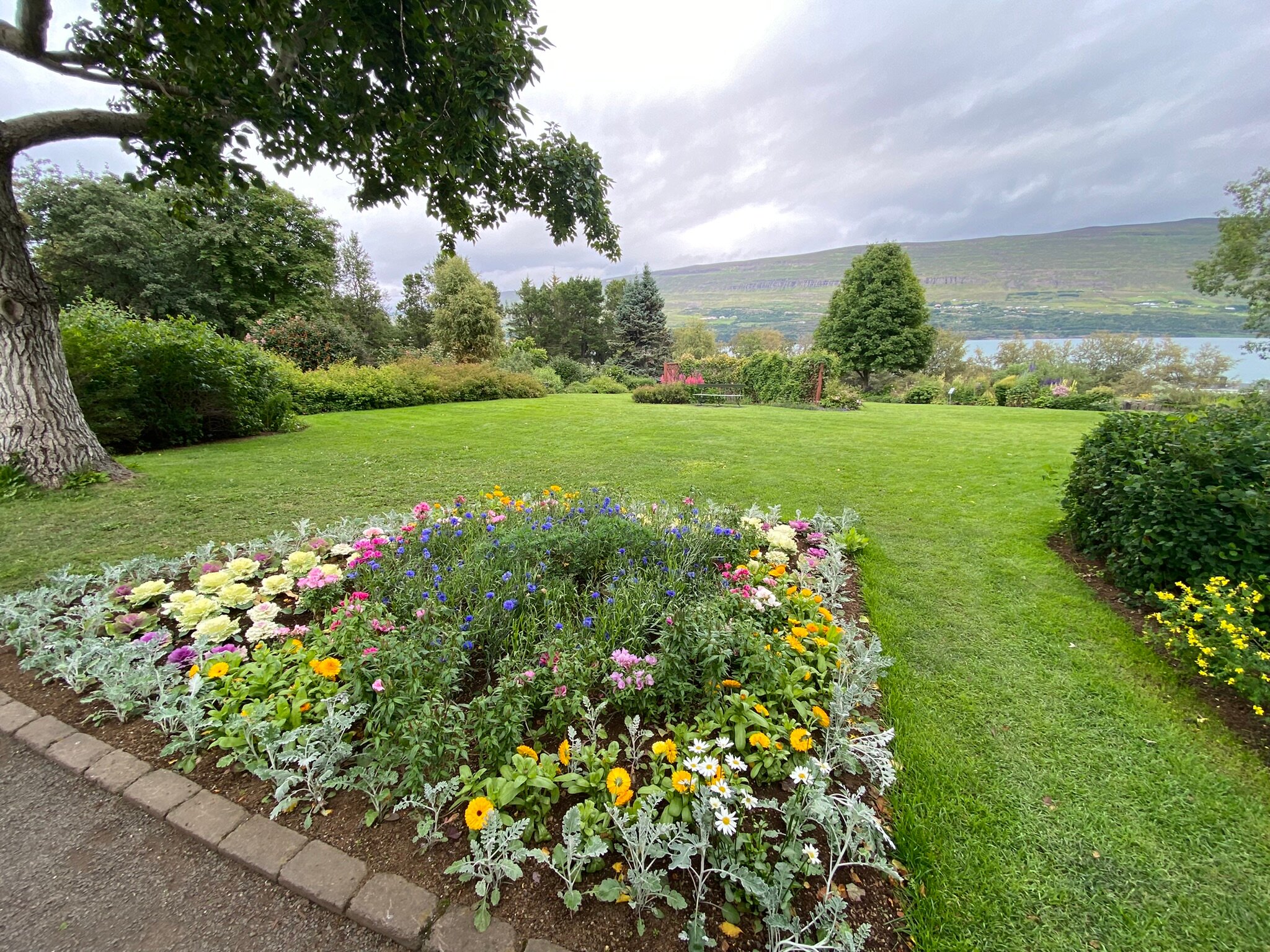 Akureyri Botanical Garden (2026) - All You MUST Know Before You Go