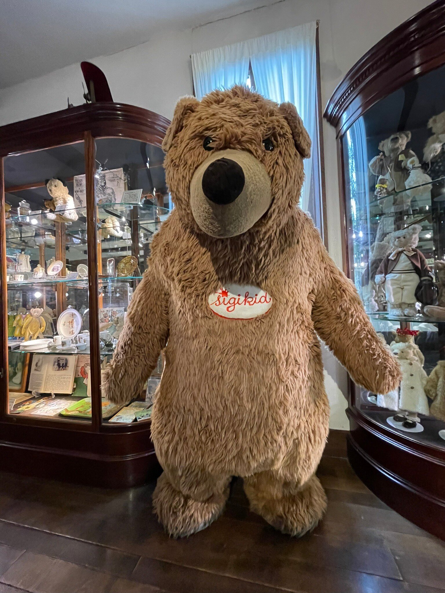 Izu Teddy Bear Museum (2026) - All You MUST Know Before You Go