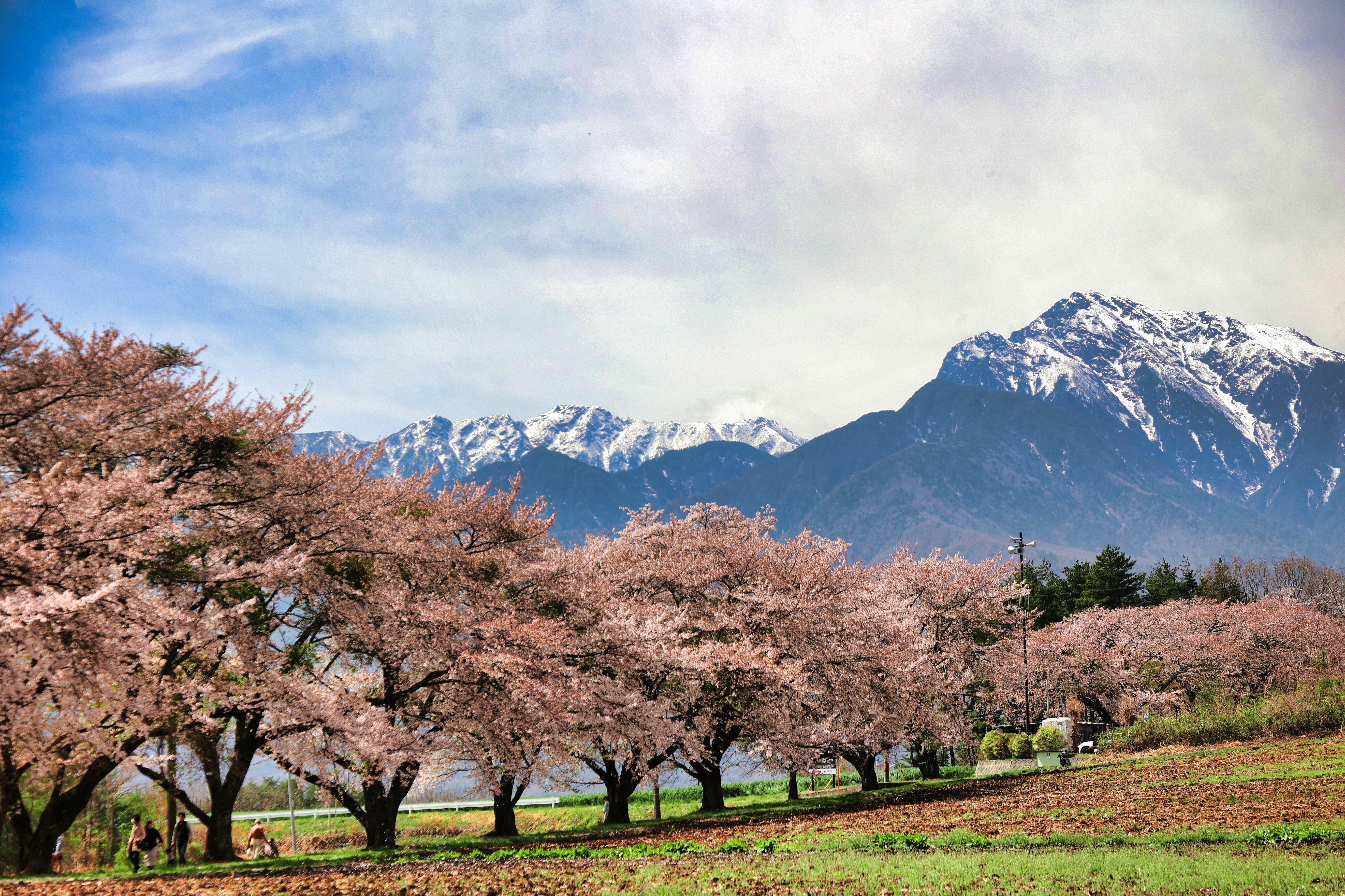 caption.jpg?w=1200&h=-1&s=1