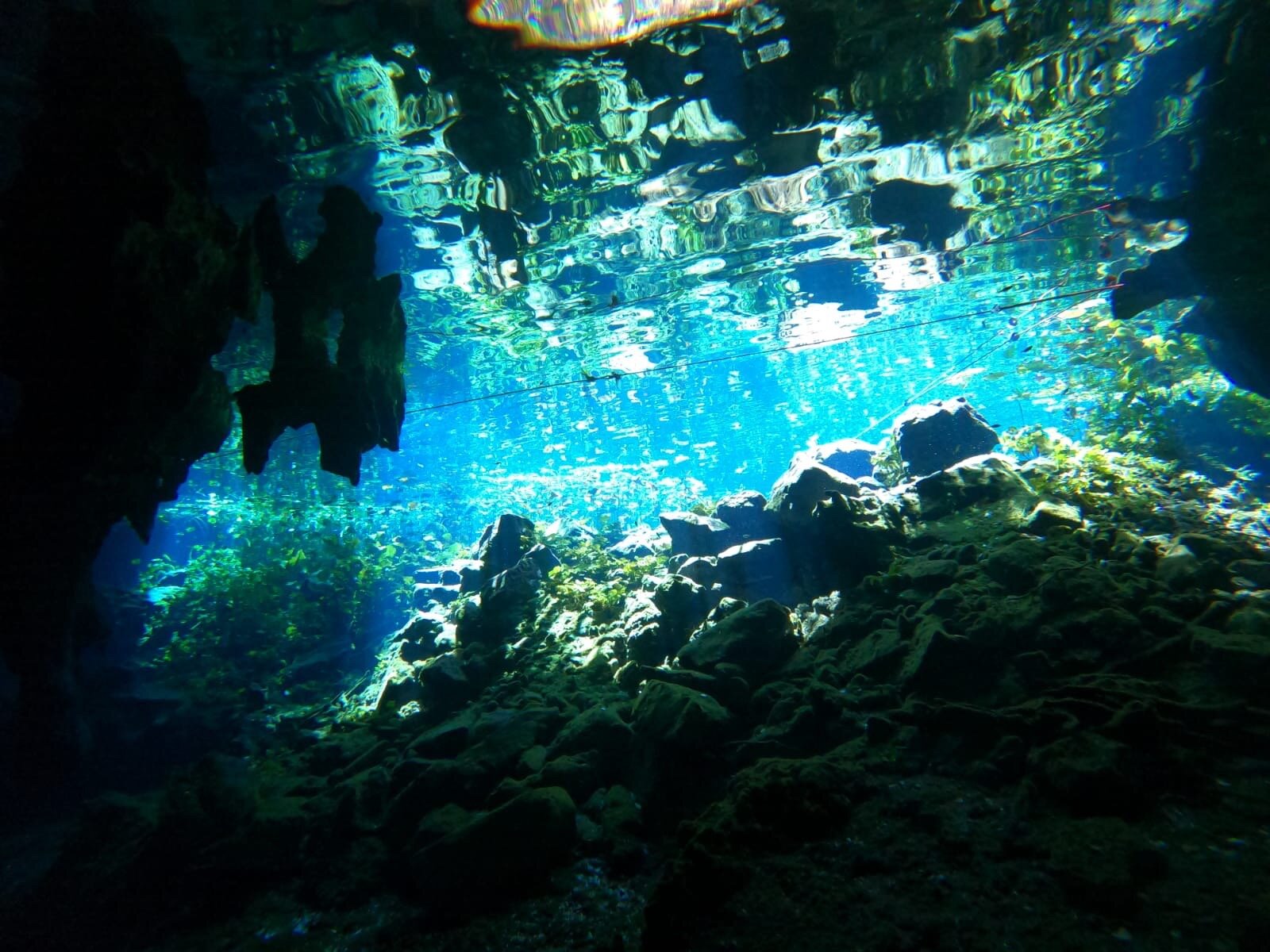 2026年 Cenote Nicte-ha - 出発前に知っておくべきことすべて