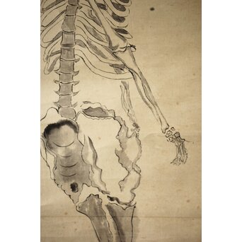 骸骨 しゃれこうべ 紙本軸装 掛軸 Z296｜骨董店 のびる 古美術 骨董