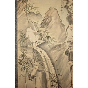 狩野探幽意 石舟筆 群猿図 紙本掛軸 Z939｜骨董店 のびる 古美術 骨董