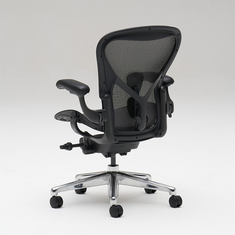 アーロンチェア X39900 グラファイト/ポリッシュドアルミニウム 通販