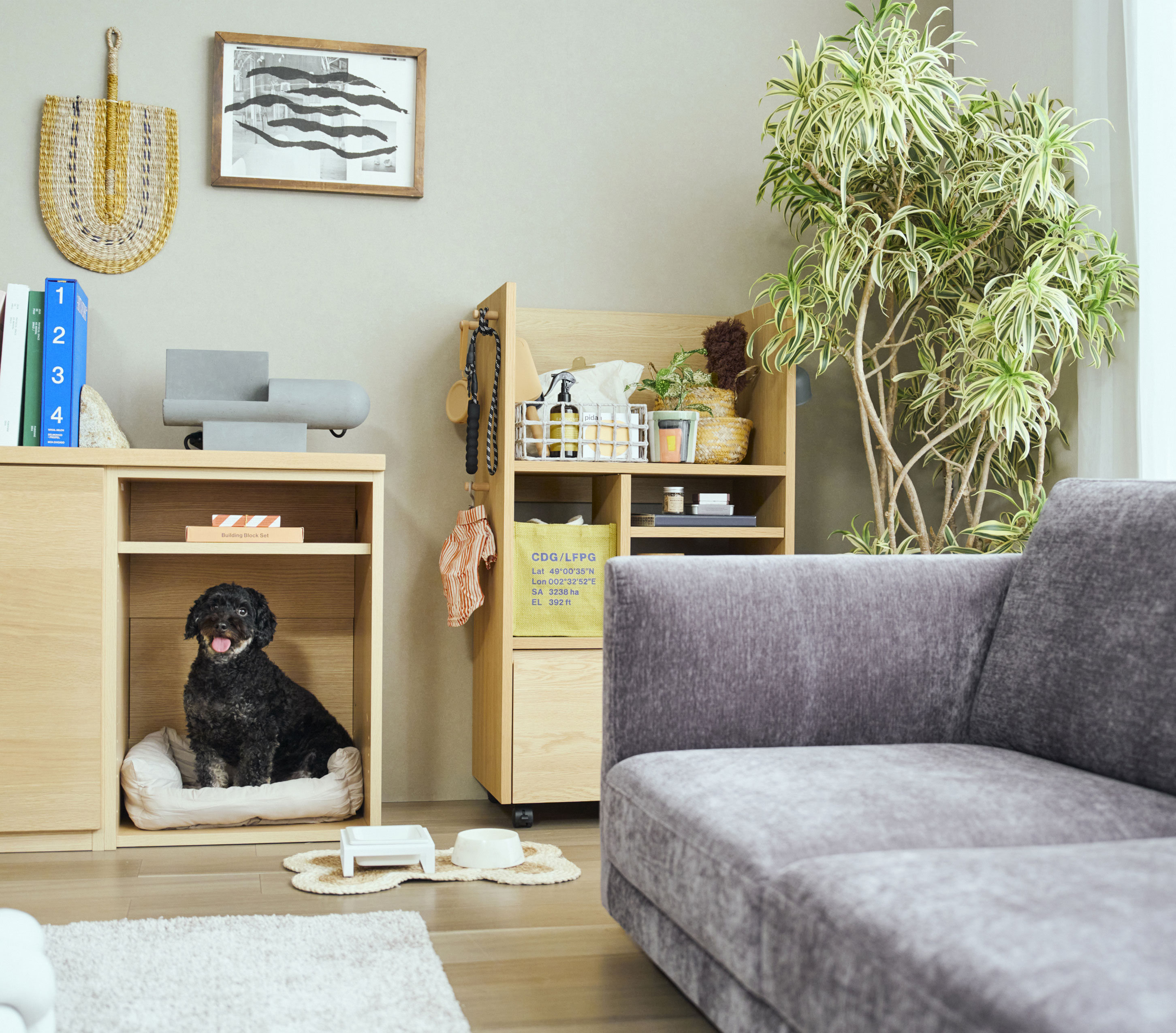 わんちゃん・ねこちゃんとの暮らし おすすめインテリア｜カリモク家具