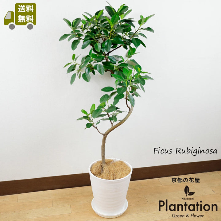 imgrc0122765990_720x.webp?v=