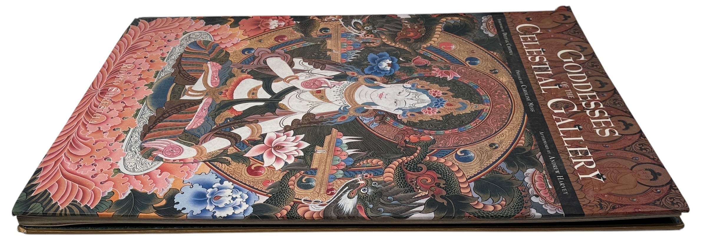 Goddesses of the Celestial Gallery – Romio Shrestha (2002) – Éco