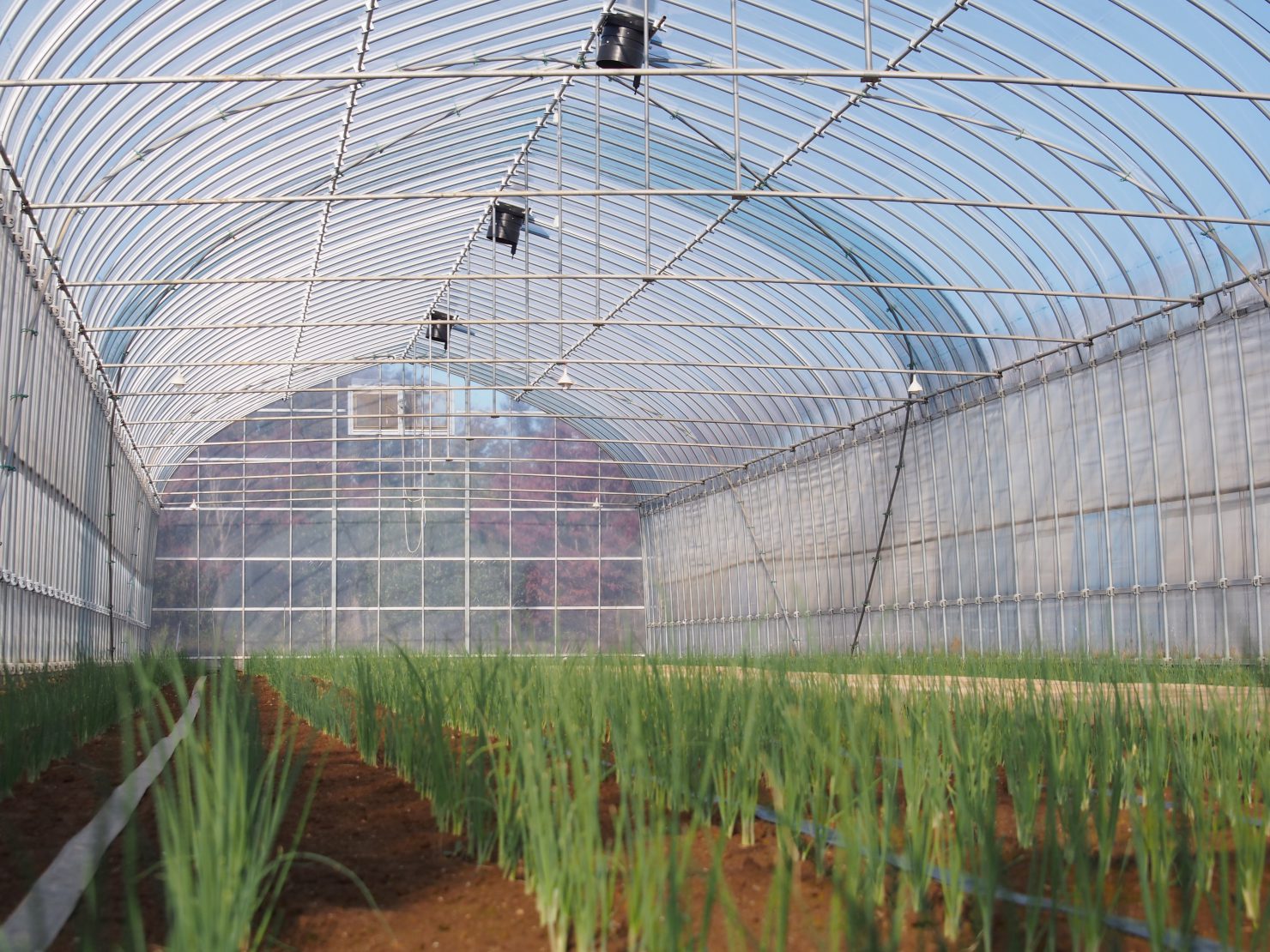 空動扇/空動扇SOLAR｜電力不要のビニールハウス専用換気扇｜セイコー