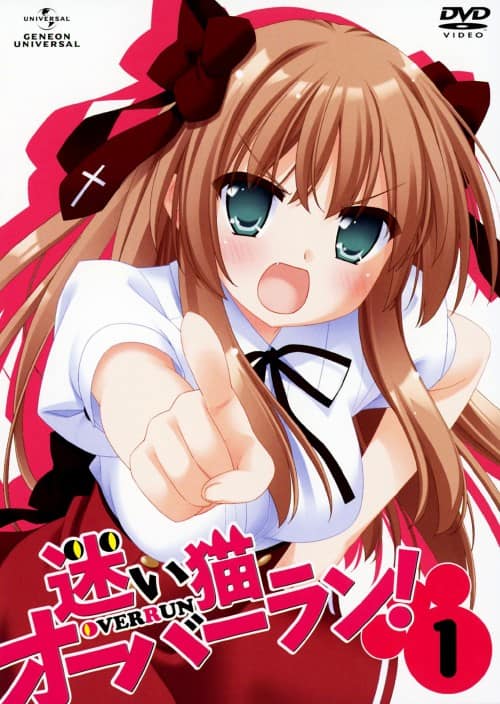 ゲオ公式通販サイト/ゲオオンラインストア【中古】初限）1．迷い猫