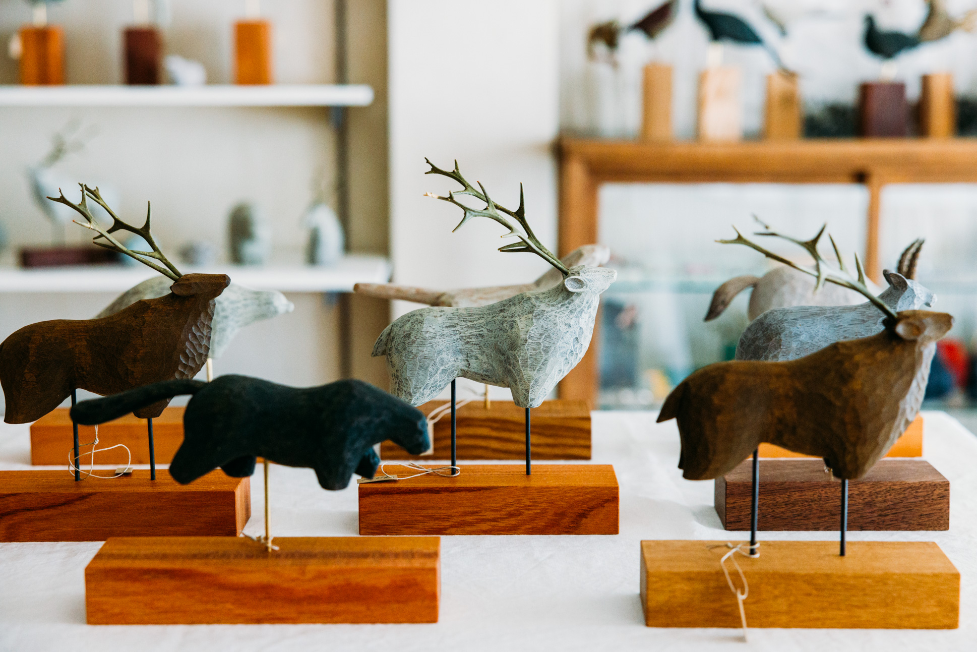 苔むす木工 個展 | Eckepunkt | エッケプンクト【自由が丘・九品仏に