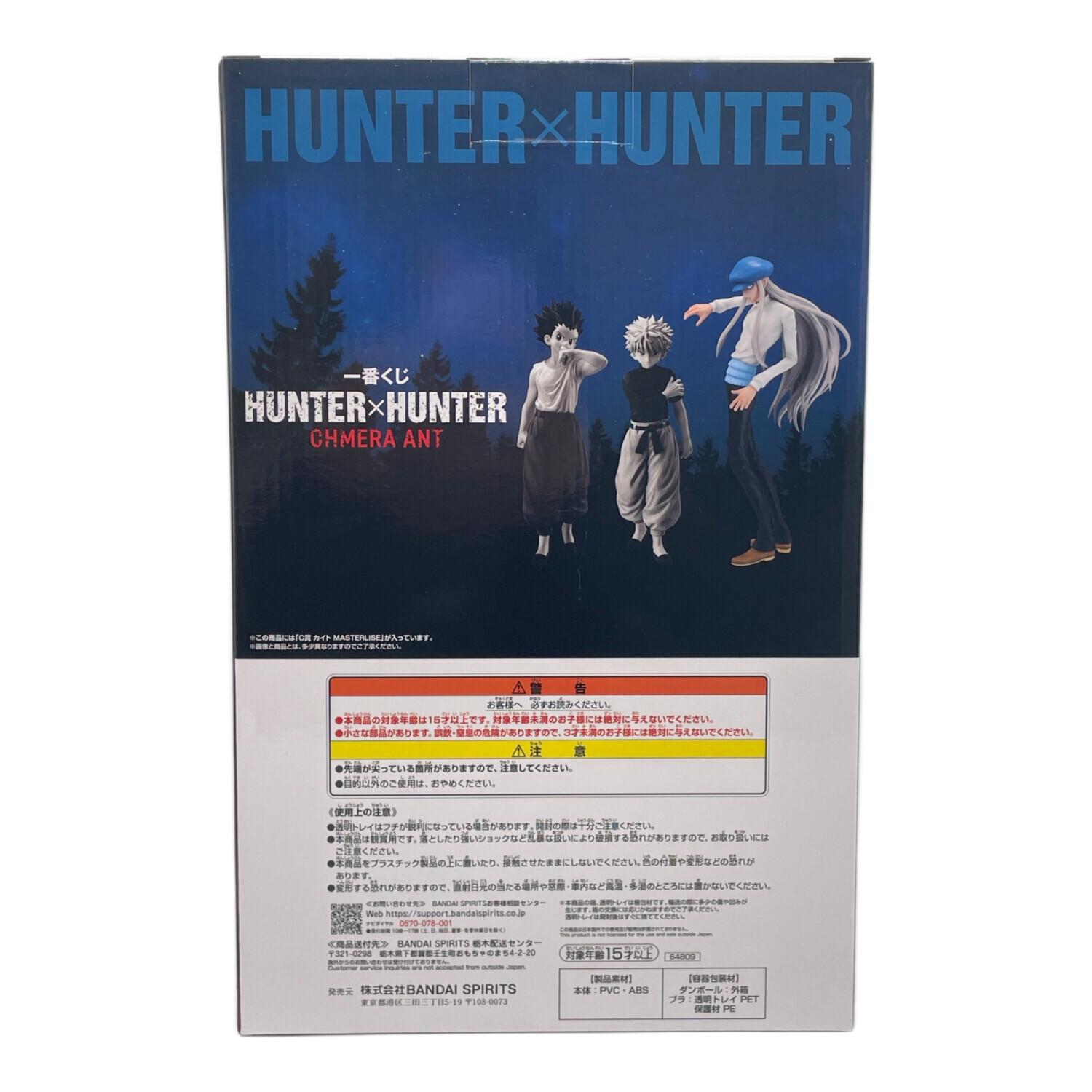 HUNTER×HUNTER (ハンター×ハンター) フィギュア カイト 一番くじ
