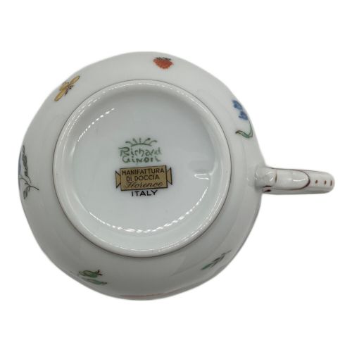 RICHARD GINORI (リチャードジノリ) カップ&ソーサー イタリアン