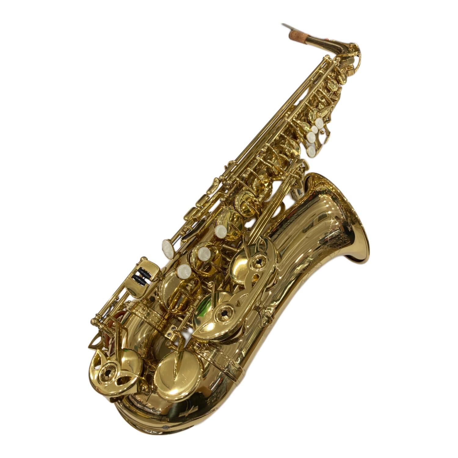 Maxtone マックストーン アルトサックス ハードケース付 管楽器