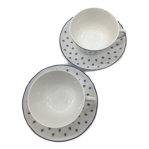 RICHARD GINORI (リチャードジノリ) カップ&ソーサー×御皿セット