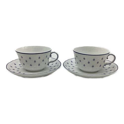 RICHARD GINORI (リチャードジノリ) カップ&ソーサー×御皿セット