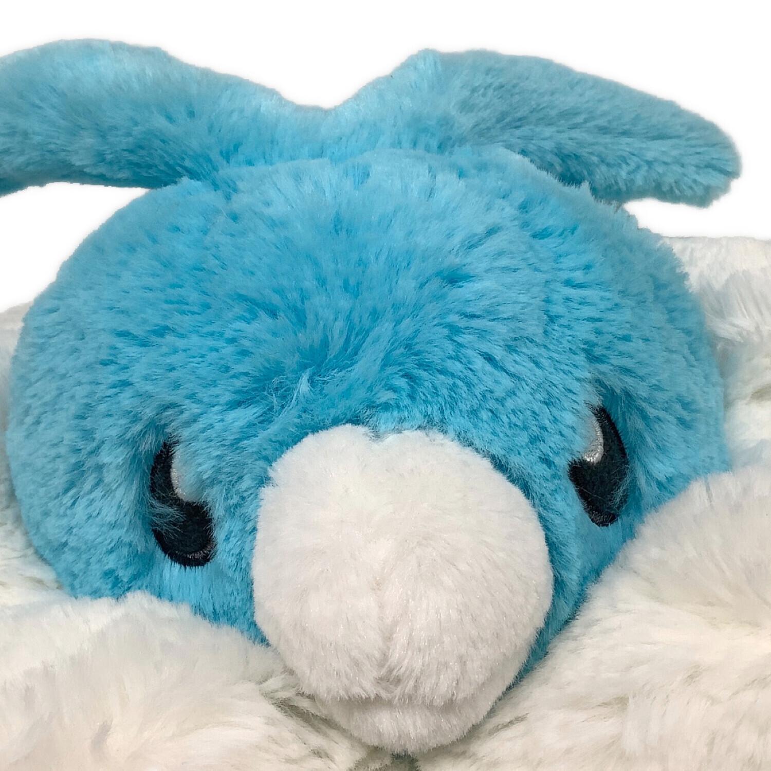 Pokemon Center (ポケモンセンター) ヌイグルミ ふわふわ抱き