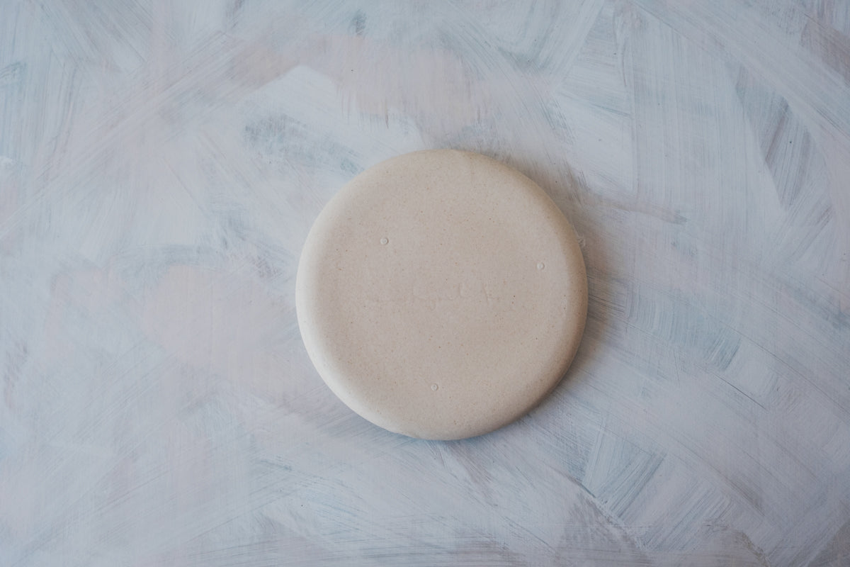 ぷっくりプレート - mushimeganebooks. (ムシメガネブックス) | Alp