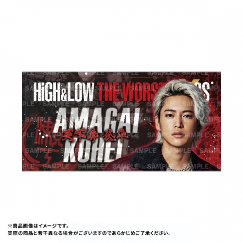 HiGH&LOW THE WORST X ビーチタオル(4種) | TEAM HI-AX STORE