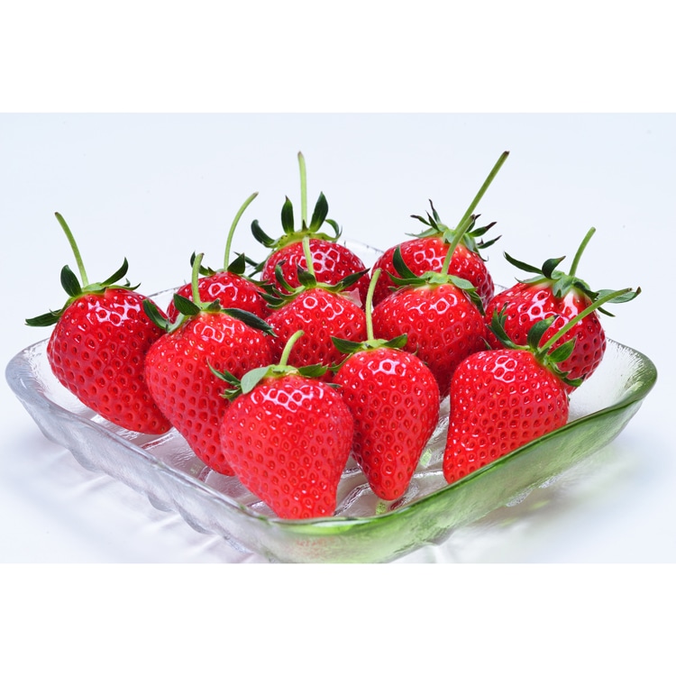 香川/KOKOROグループ]軸付き女峰いちご 700g: JALショッピング｜JAL