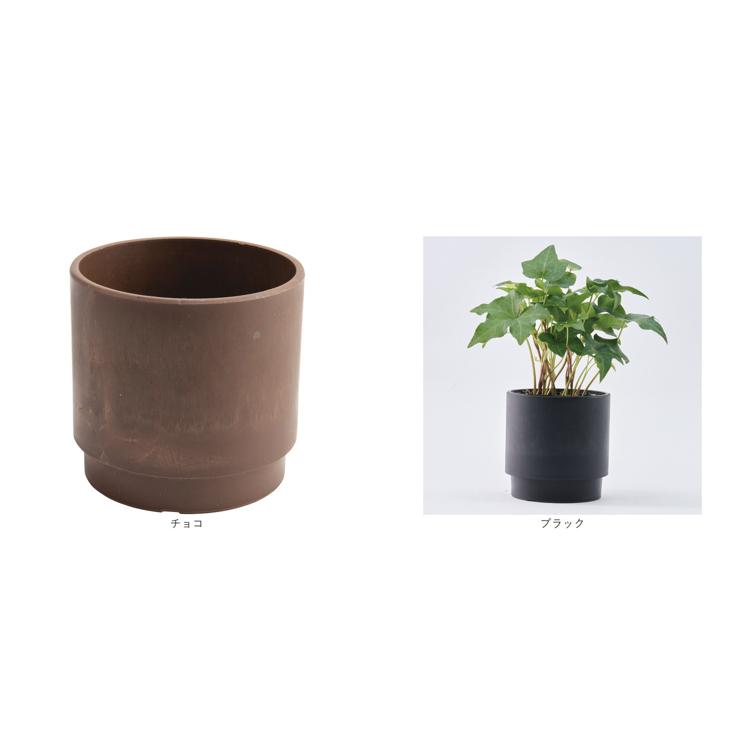 植木鉢 プラスチック 丸型 通販 SK ステップ 15.5xH15 鉢 約 5号 鉢