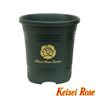 フラワーポット・鉢】京成バラ園オリジナルローズポット 6号（10鉢