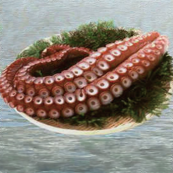 札幌二条市場 能登水産 / 茹で 真タコ 足（大） 1本650g前後