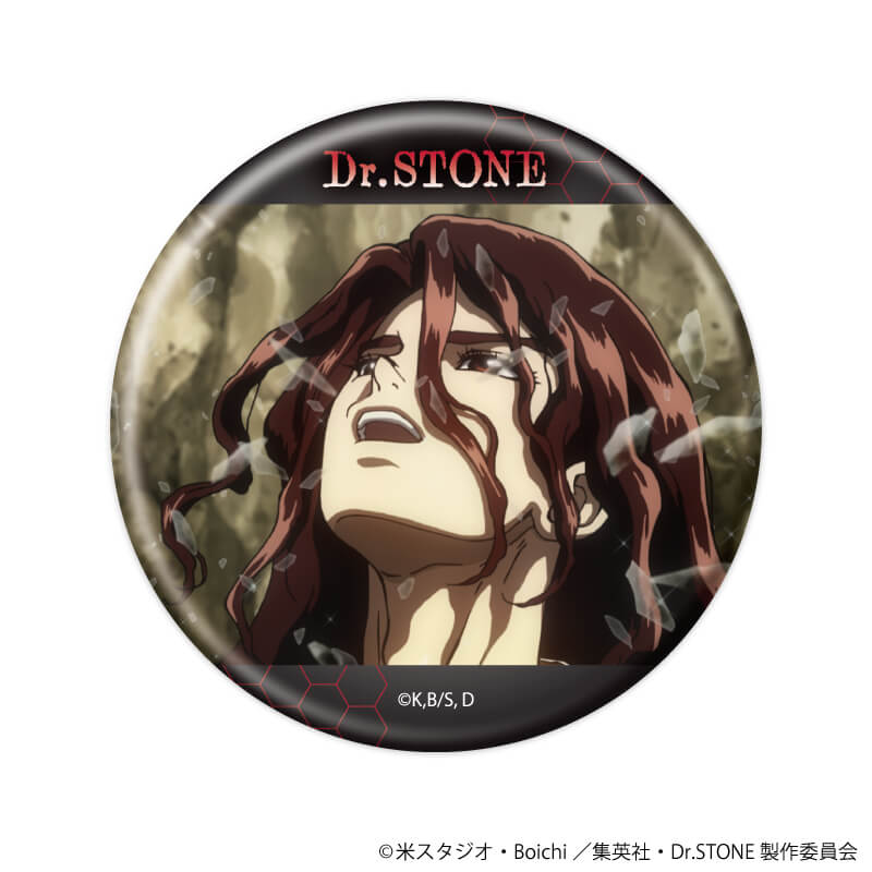 缶バッジ「Dr.STONE」25/コンプリートBOX(全10種)(場面写イラスト