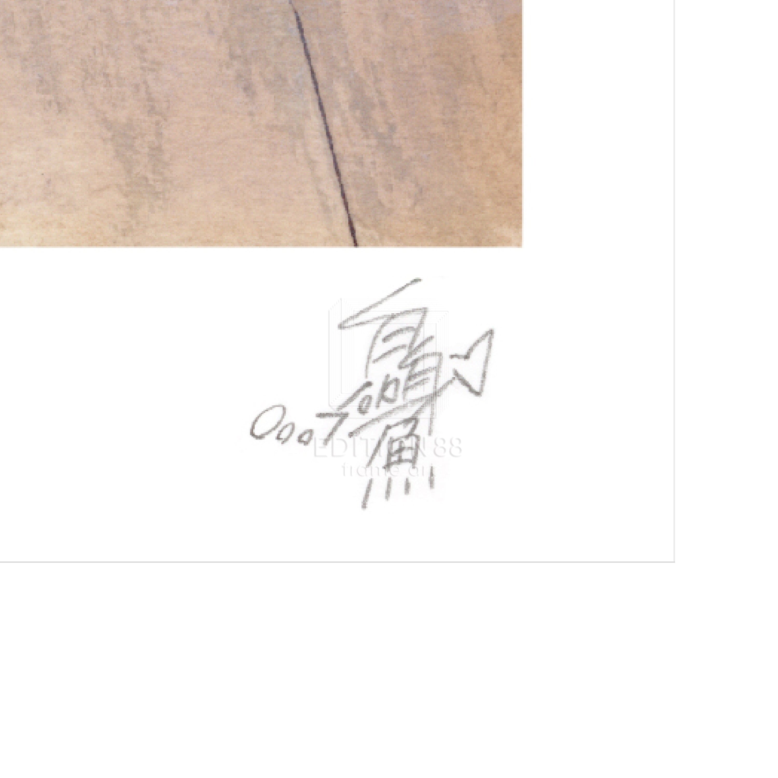 88グラフM / 白身魚（直筆サイン入り/限定50枚）