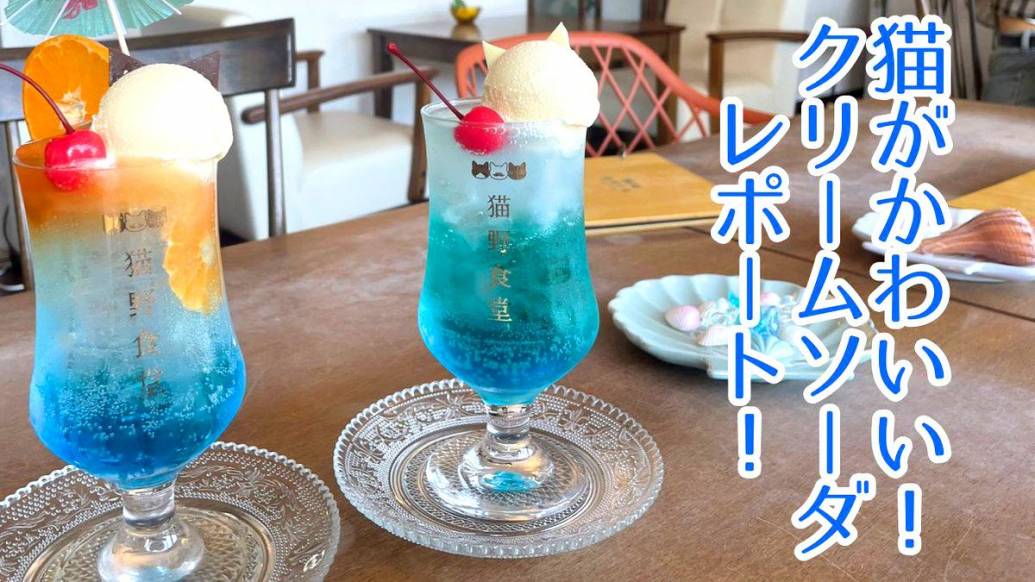思わず撮りたくなるクリームソーダ！猫モチーフが可愛すぎる佐賀の