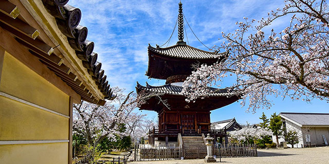 上之太子 叡福寺 【公式】 境内案内