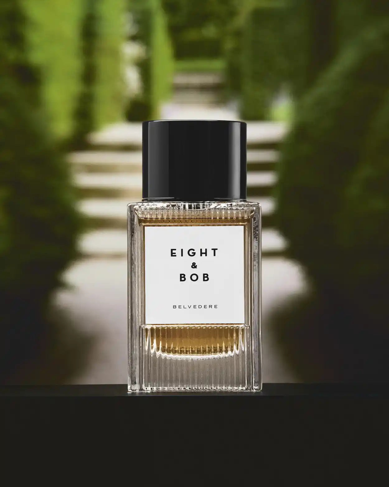 Belvedere Perfume EDP 100mL | Eight & Bob