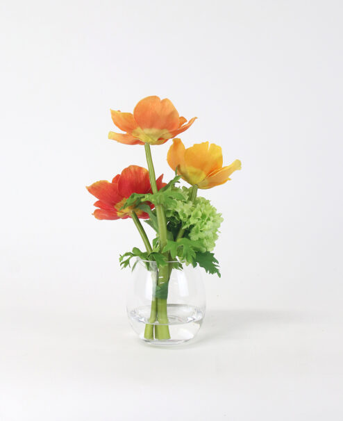 アネモネM26 | エミリオロバ | EMILIO ROBBA