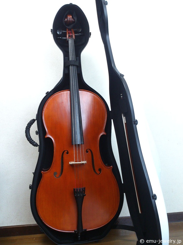 息子がチェロのハードケースを買ってきた | OGABLO-1969design studio