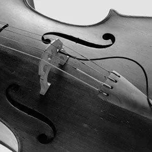 Schertler STAT-C pickup set for cello | Electric Violin Shop