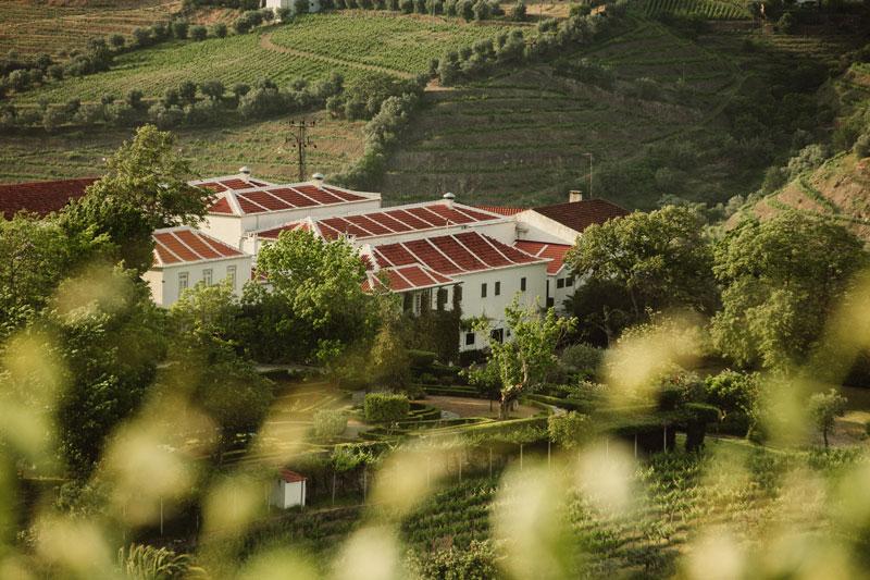 ラモス・ピント RAMOS PINTO | エノテカ - ワイン通販